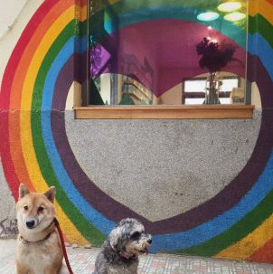 💕 Love Wins 💕